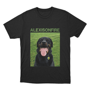 Brixton Unisex T Shirt Black