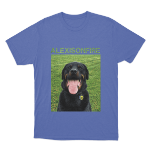 Brixton Unisex T Shirt Blue